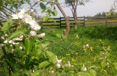 Zakątek Szczęścia Eko Agroturystyka - Foto 45