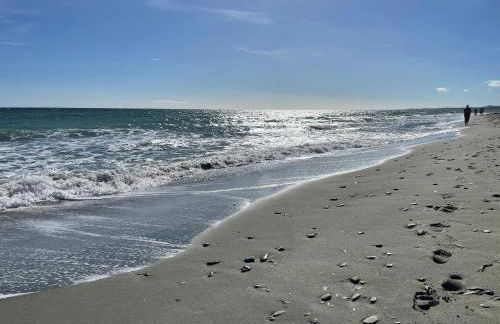 Corsica Poggio - Foto 5