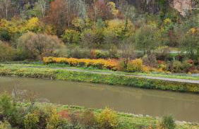 apartment, gite by the canal l Est,river Coney vosges france - Foto 6