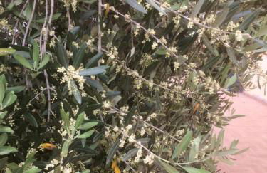 agriturismo cerquatonda - Foto 109