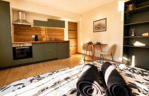 Studio proche Cancéropôle et Univ Jean Jaurès - Foto 12