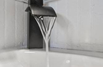 LimeGreen ORCHID - Foto 23