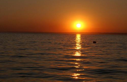 Pier View Apartment at Beach House - Photo 45