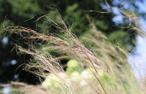 Ferienwohnung GeestZuhause - Foto 32