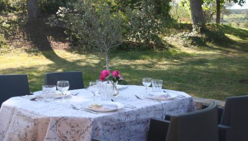 Il Tulipano - Foto 5