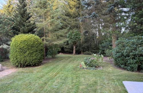 Ferienhaus im Grünen - Entspannen mit Alpakas - Foto 16