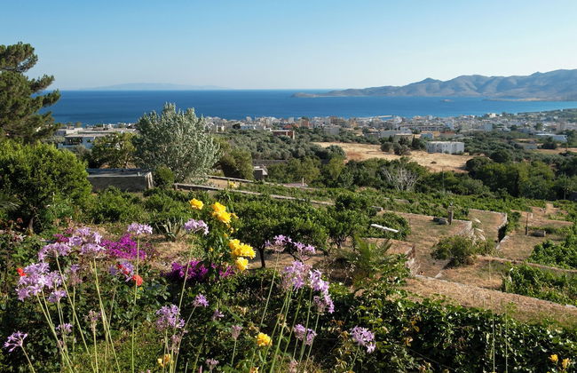 Montofoli Wine Estate - Foto 54