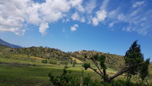 Antica Tindari - Foto 2