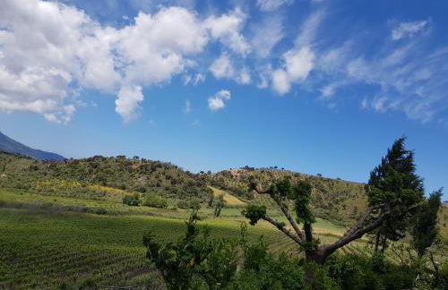 Antica Tindari - Foto 2