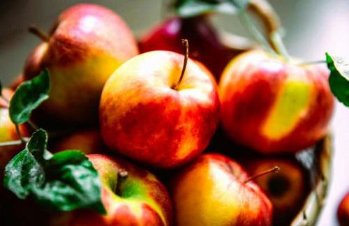 Prairie Comfort - Foto 19