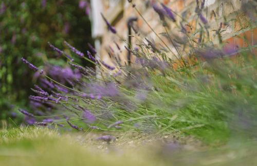 Little Lodge on the Yorkshire Wolds - Foto 46