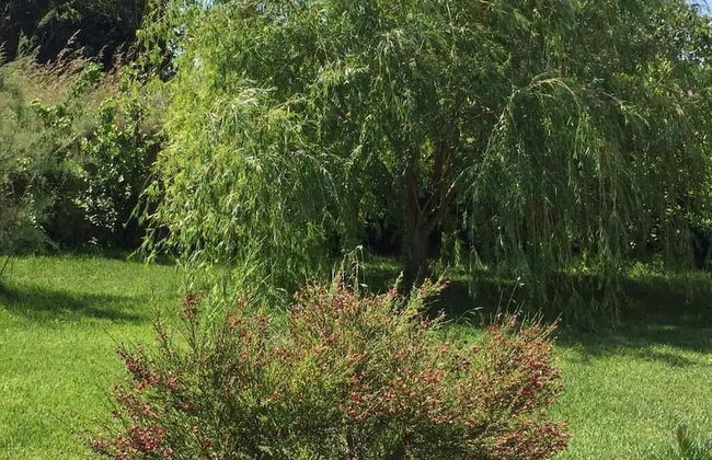 Villa Palagiani Inside - Foto 13