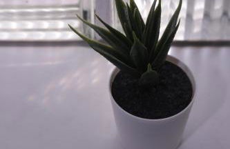 Haus Aissa - Foto 13