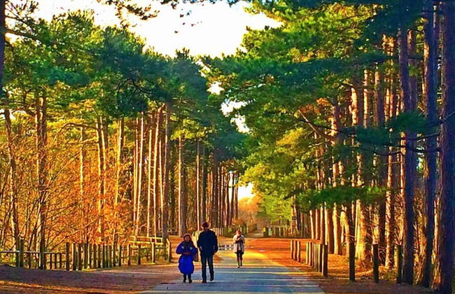 Squirrel Hideaway in Formby, Liverpool - Foto 25