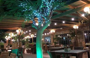 Beach front apartment with stunning ocean views! - Foto 35