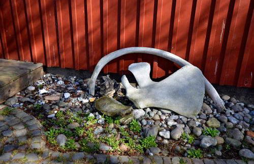 Schreinerhaus - Foto 5