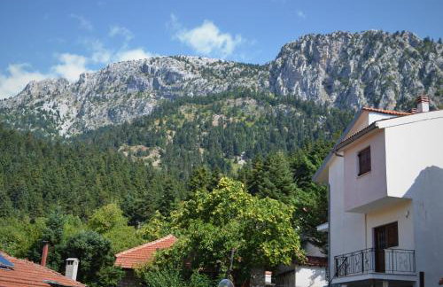 Elati Mansion - Foto 15