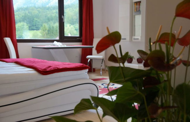 W & S Executive Apartments - Obertraun - Foto 11