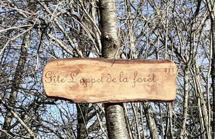 L'appel de la foret - Foto 18