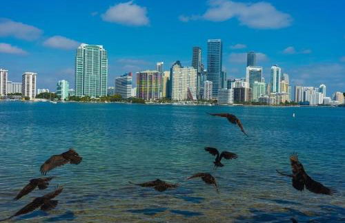 Miami Oasis by Brickell and Beaches - Photo 24