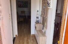 Büsumer blaue Krabbe - Foto 3