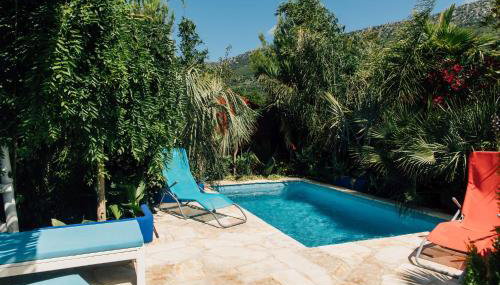 Villa Tropica, total privacy, tropical garden and private pool - Foto 2, Garden, sunbed, Garden view