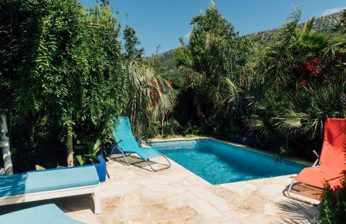 Villa Tropica, total privacy, tropical garden and private pool - Photo 2