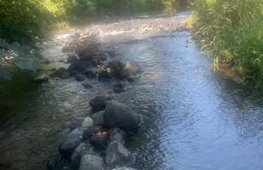 Gîte de la Couze pavin - Photo 31