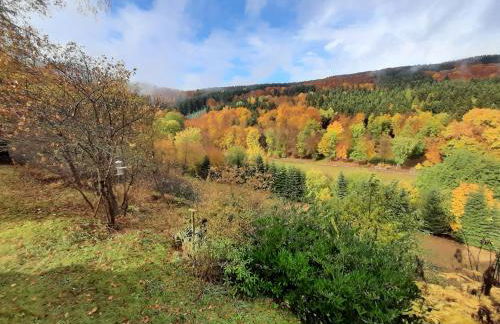 Ferienwohnung Zum Pön - Foto 53