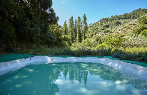 Cortijo el Soto - Foto 5