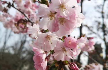 Casa Vacanze La Formica - Foto 32