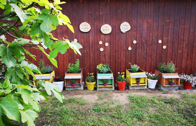 Su Leunaxiu - Foto 68