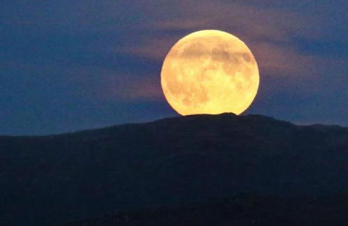 Pipistrelle Cottage a quirky gem near Snowdonia - Photo 24