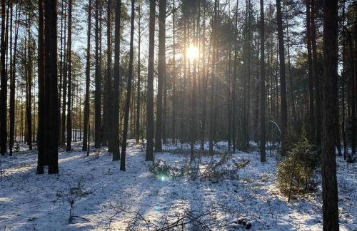 Willa Siemianówka - Sauna, Jacuzzi - Foto 46