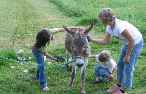 Bognerlehen Rupert Kurz - Foto 6