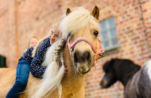 Ferienhof Utech - Foto 10