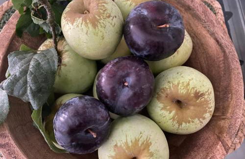 Casa de Santiago - Foto 29