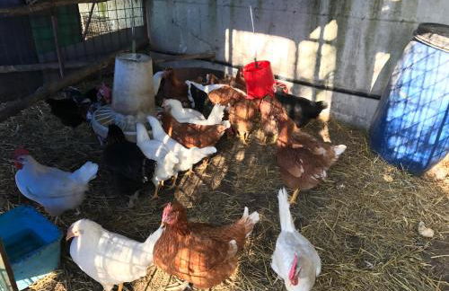 Agriturismo a casa di Susanna - Foto 64