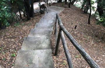 Villa Grazia - Foto 25