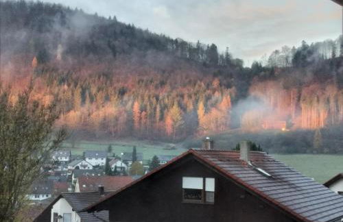 Mayntz' Albjuwel - Foto 13