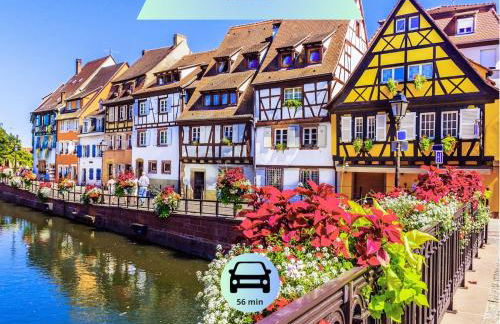 Bischheim - Idéal séjour professionnel ou familial - Proche bus direct au centre ville de Strasbourg - Foto 22