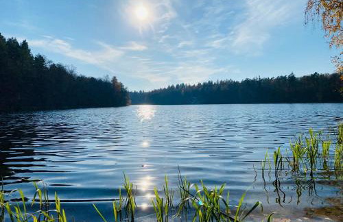 Dworek Mazurski Ruś Gospodarstwo Agroturystyczne - Foto 19