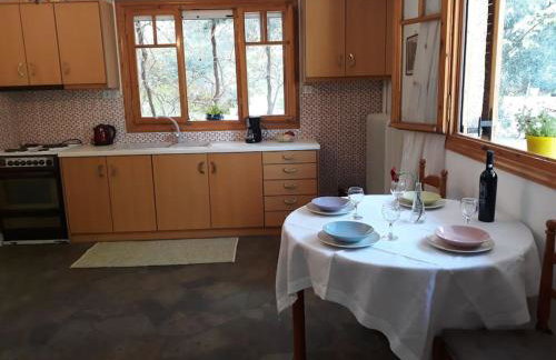 Σπίτι σε ελαιώνα, house in an olive grove - Foto 11