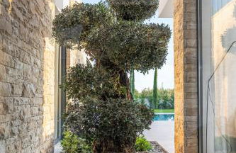 Villa Asmoa for 8 people near Porec with 45 m2 heated pool, wellness & sea view - Foto 41