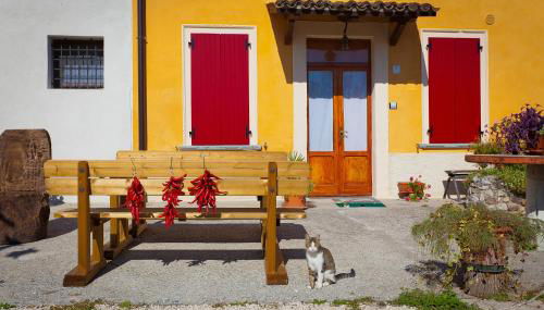 Agriturismo con Cucina tipica Nuova Scardua - Foto 4