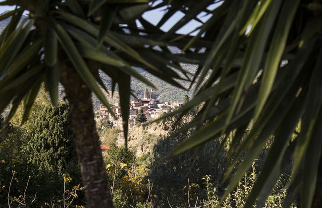 Le due querce - Photo 46