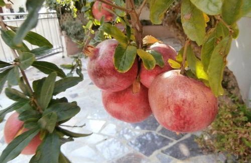 Apartments Cordis - Foto 8