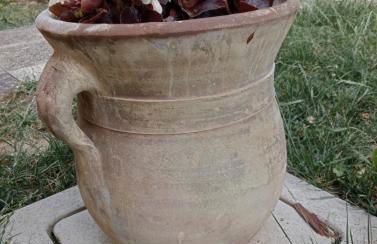 Abruzzo - Teramo tra Mare e Monti - Foto 21