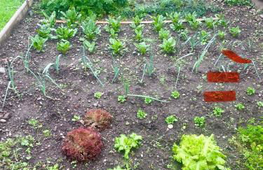 La Ferme des 1000 étangs - Foto 12