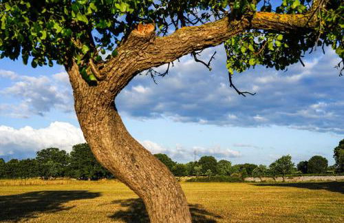 Masseria Ciavea - Foto 86